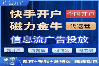 SEM营销案例：电商平台的流量密码